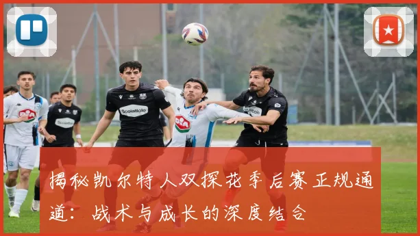 揭秘凯尔特人双探花季后赛正规通道：战术与成长的深度结合