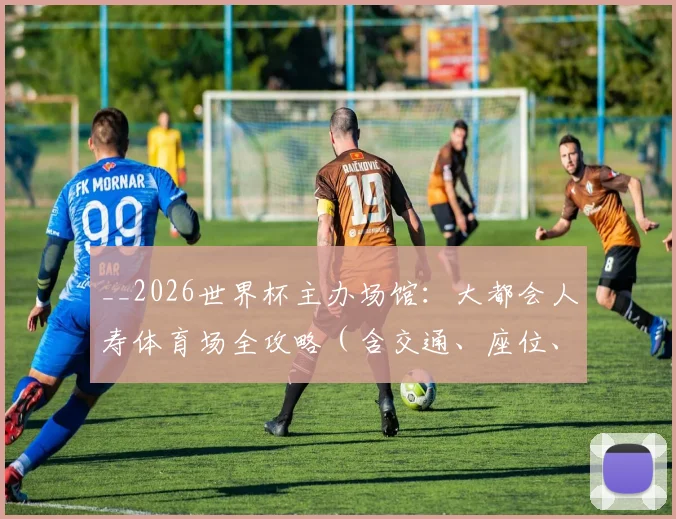 __2026世界杯主办场馆：大都会人寿体育场全攻略（含交通、座位、住宿指南）__